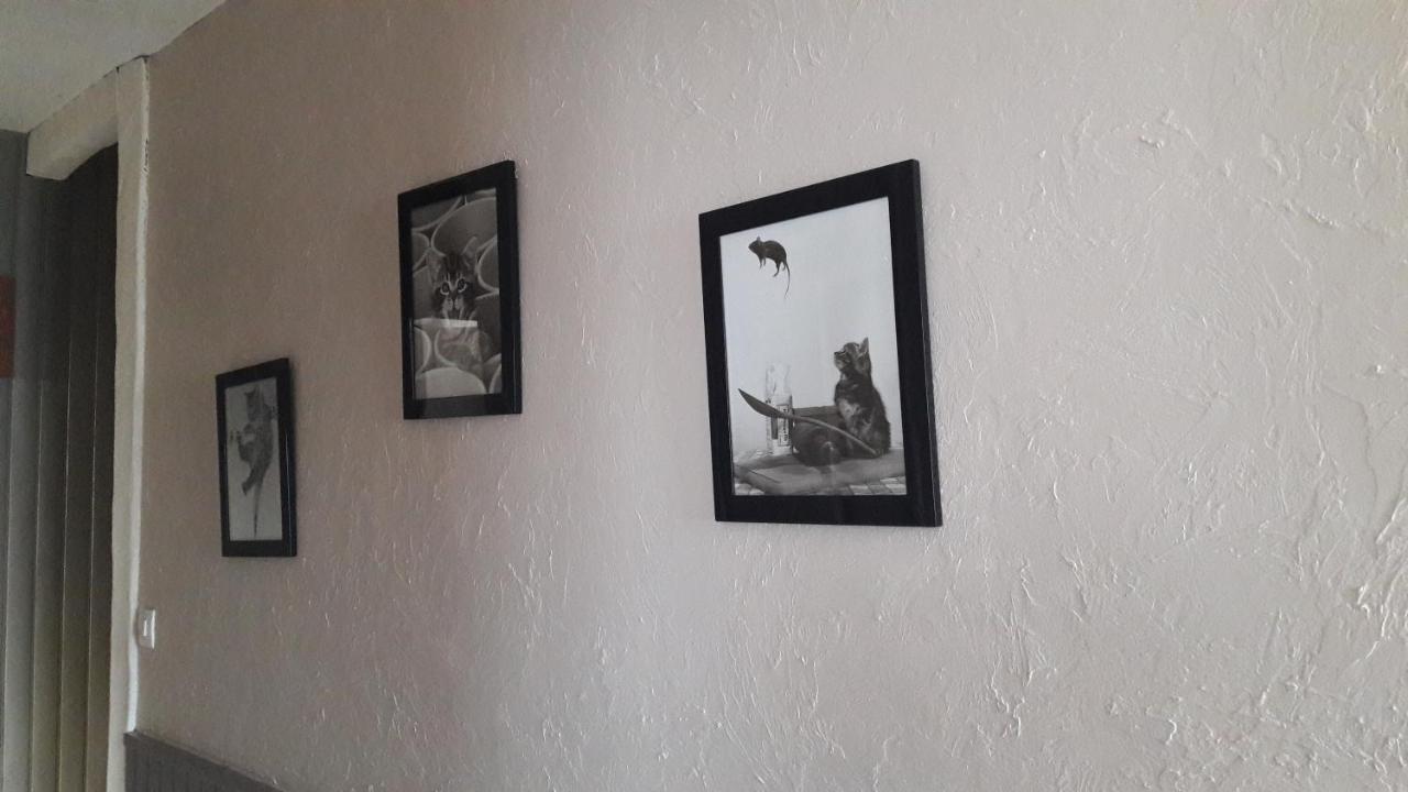 Chambre D'Hote - La Ruche Des Bleuets Mulsanne Esterno foto