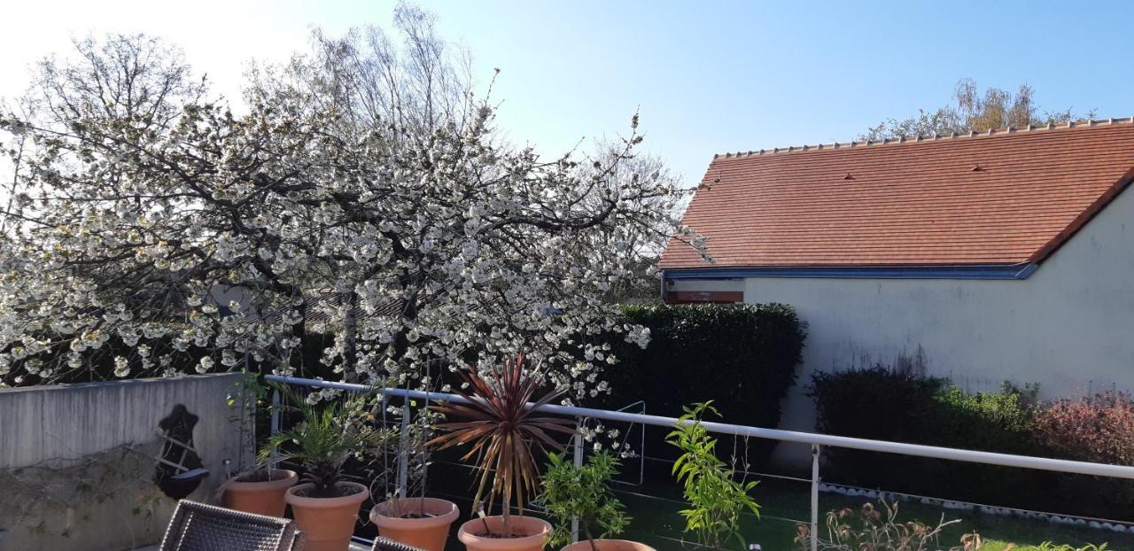 Chambre D'Hote - La Ruche Des Bleuets Mulsanne Esterno foto